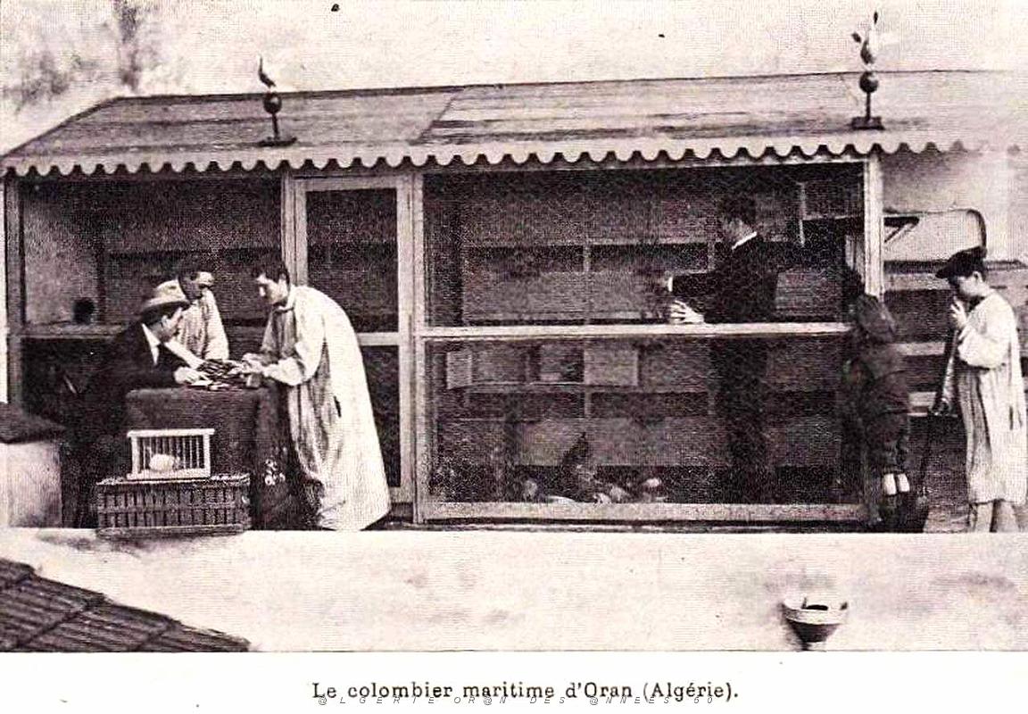 Oran- SDV- 6072.jpg